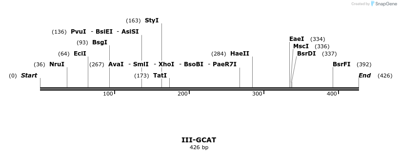 58887_map