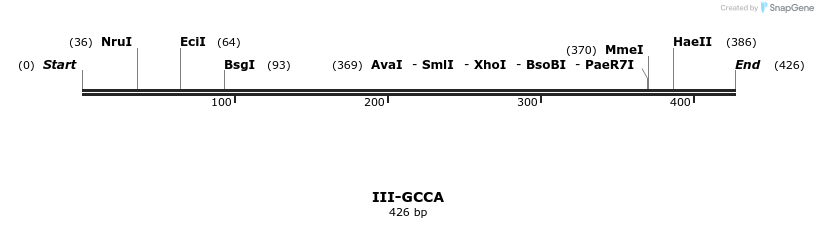 58888_map