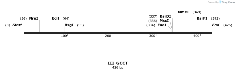 58891_map