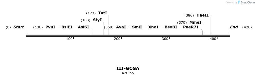 58892_map
