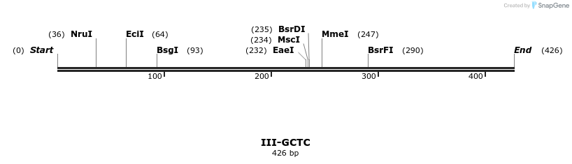 58897_map
