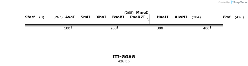 58902_map