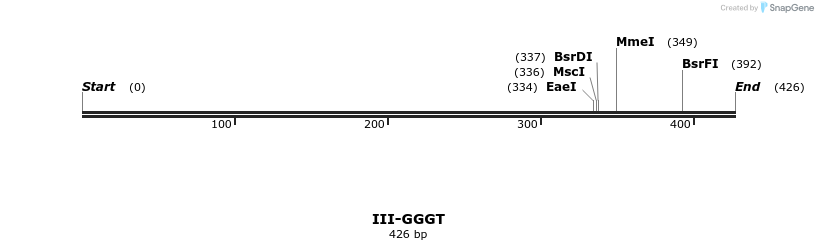 58911_map