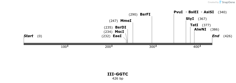 58913_map