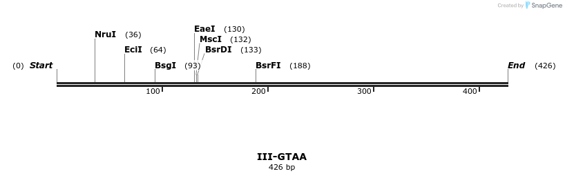 58916_map