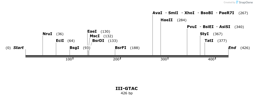 58917_map