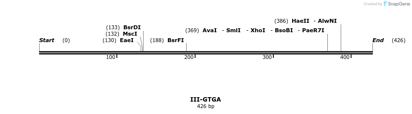 58924_map