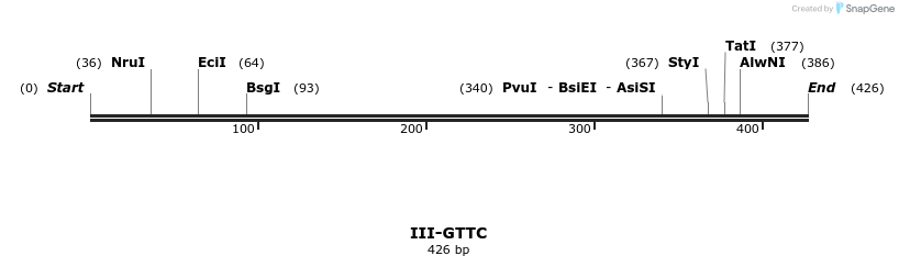 58929_map