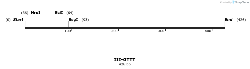 58931_map