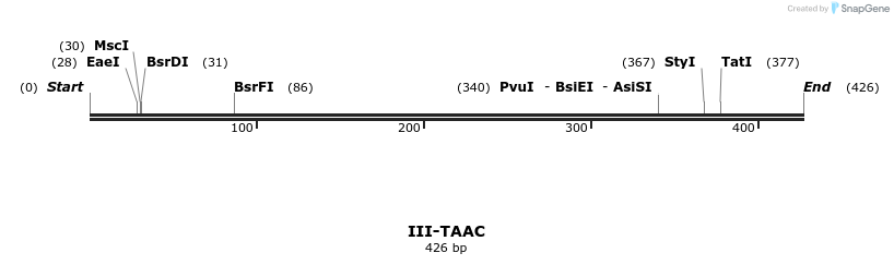 58933_map