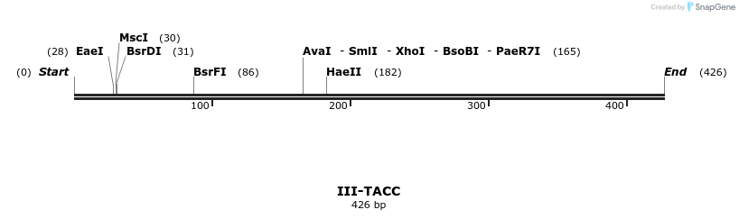 58937_map