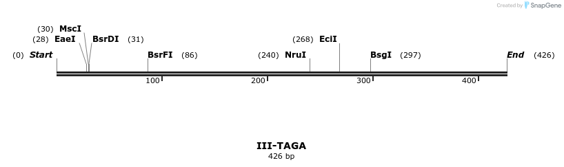 58940_map