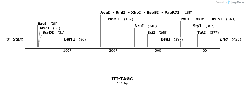 58941_map