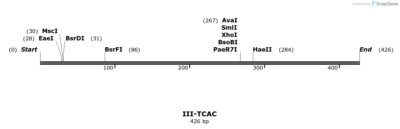 58949_map