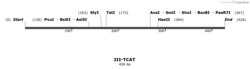 58951_map