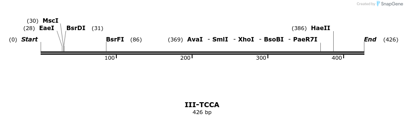 58952_map