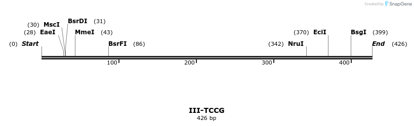 58954_map