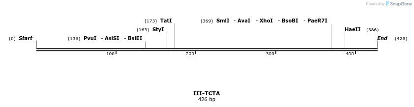 58960_map
