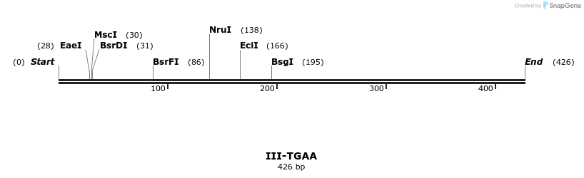 58964_map