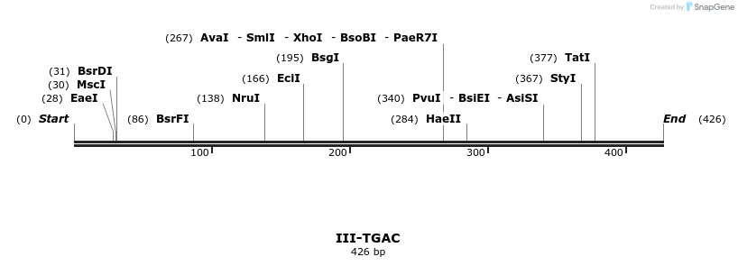 58965_map