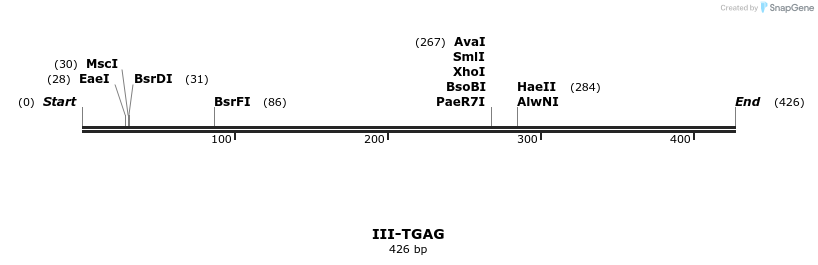 58966_map