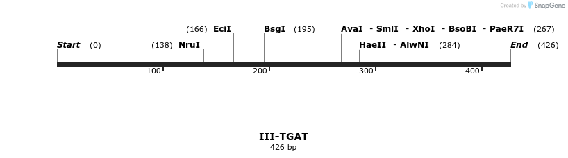 58967_map
