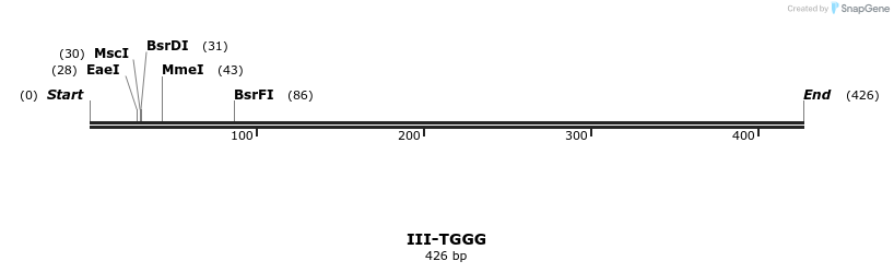 58974_map
