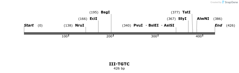 58977_map
