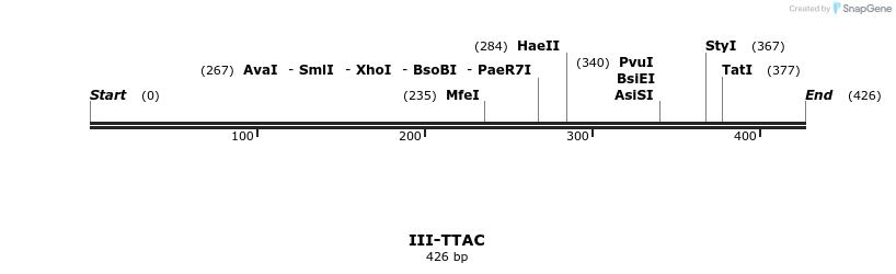 58981_map
