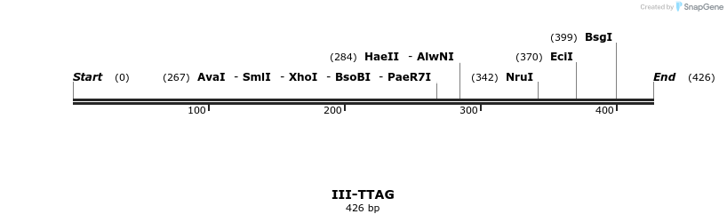 58982_map