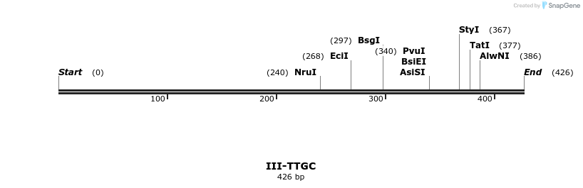 58989_map