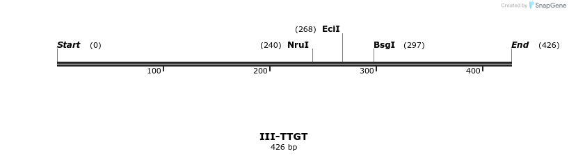 58991_map
