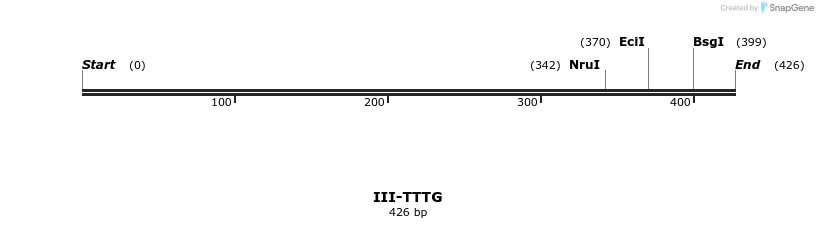 58994_map