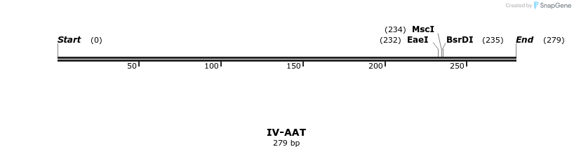 58999_map