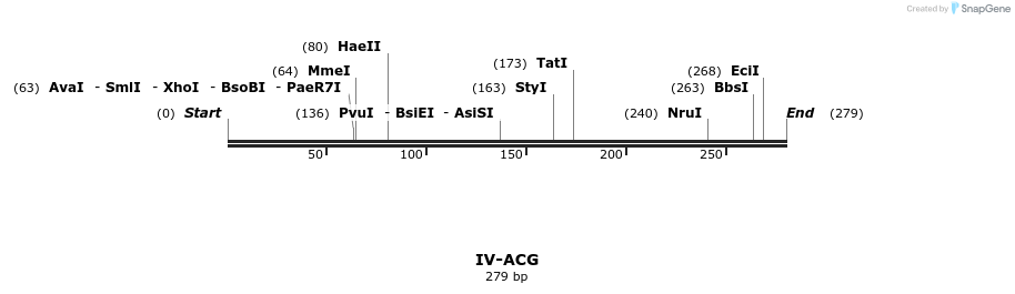 59002_map