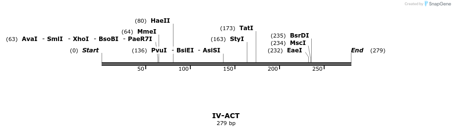 59003_map