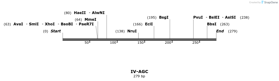 59005_map