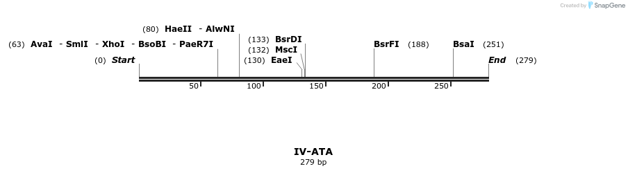 59008_map