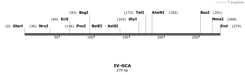 59032_map