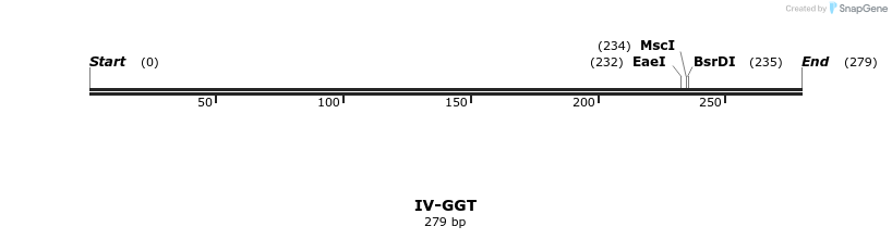 59039_map