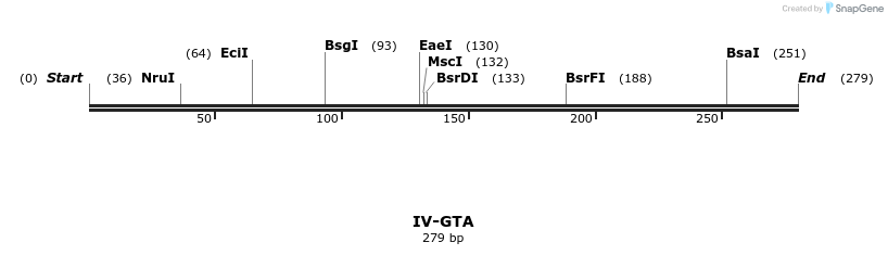 59040_map
