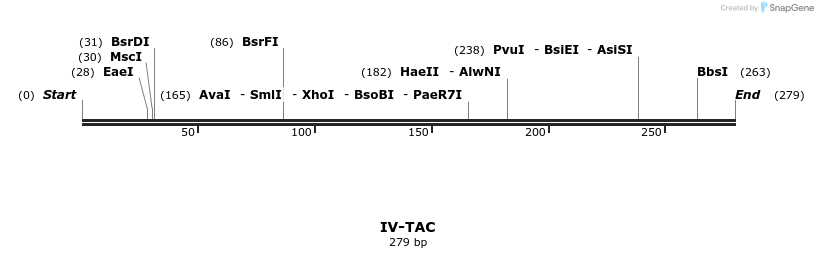 59045_map