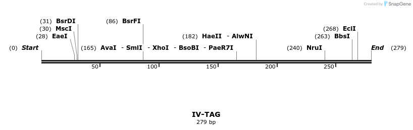 59046_map