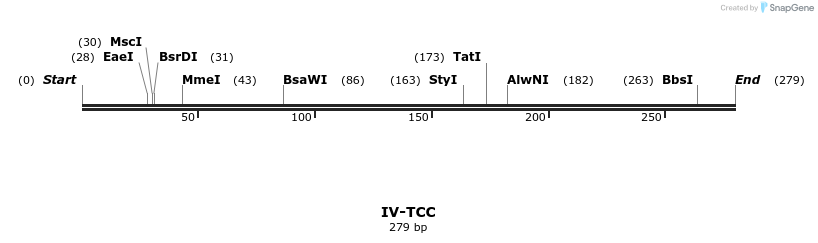 59049_map