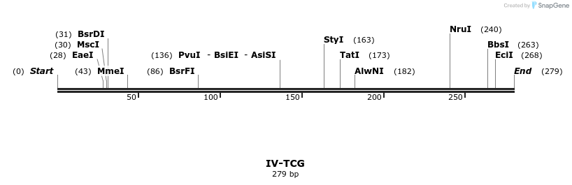 59050_map