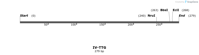 59058_map