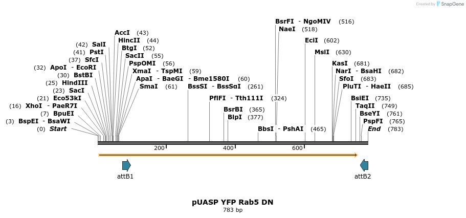 59061_map