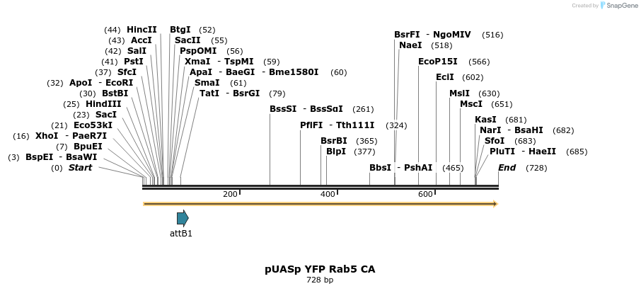 59065_map
