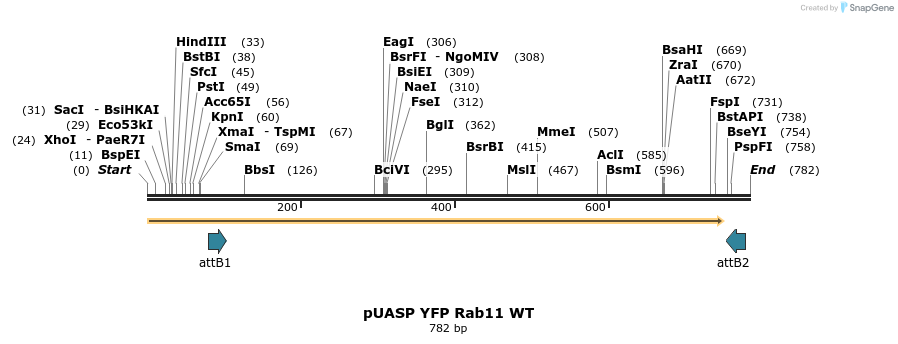 59067_map