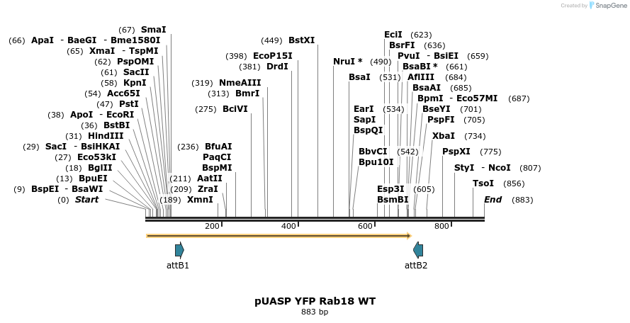 59072_map